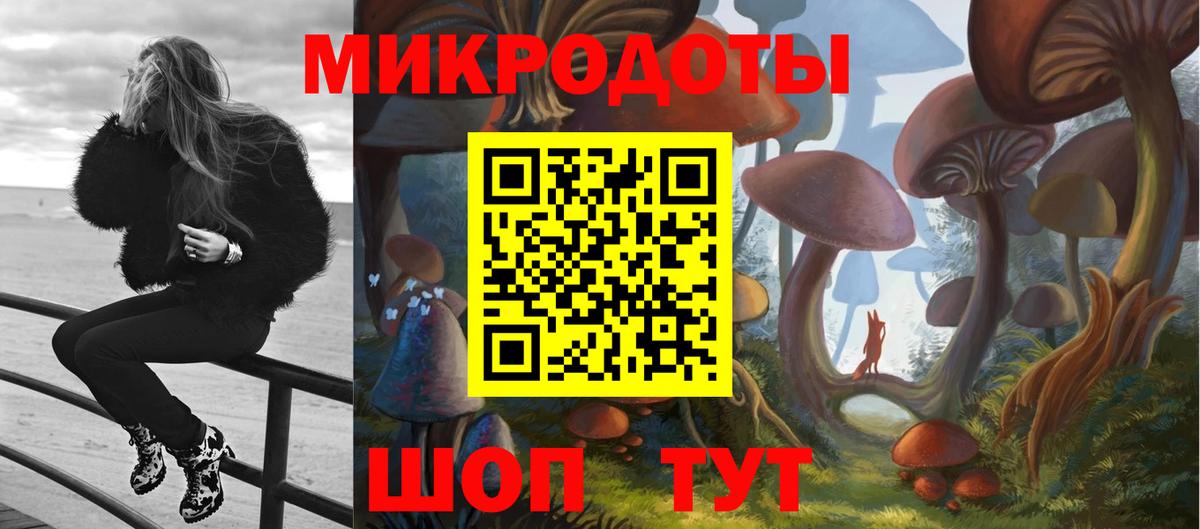 Псилоцибиновые грибы мицелий Кыштым
